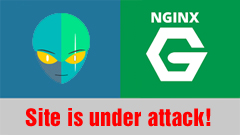 картинка Nginx - Защита сайта на VDS от атаки ботами [Основные методы блокировки]